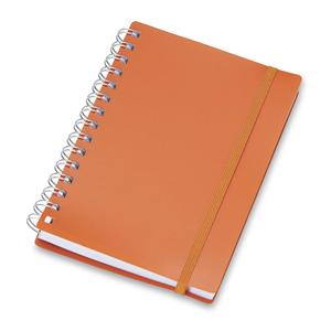 Agenda Diária 2025