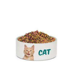 Tigela PET de Cerâmica 300ml